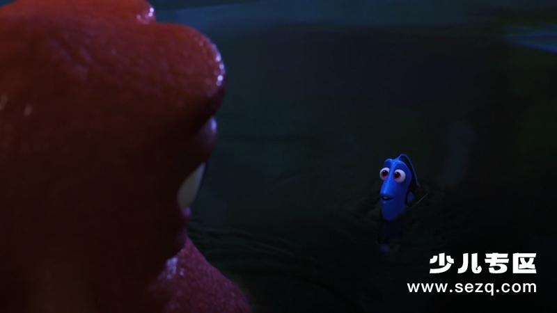 海底总动员2：多莉去哪儿 - 电影资源画廊第9张