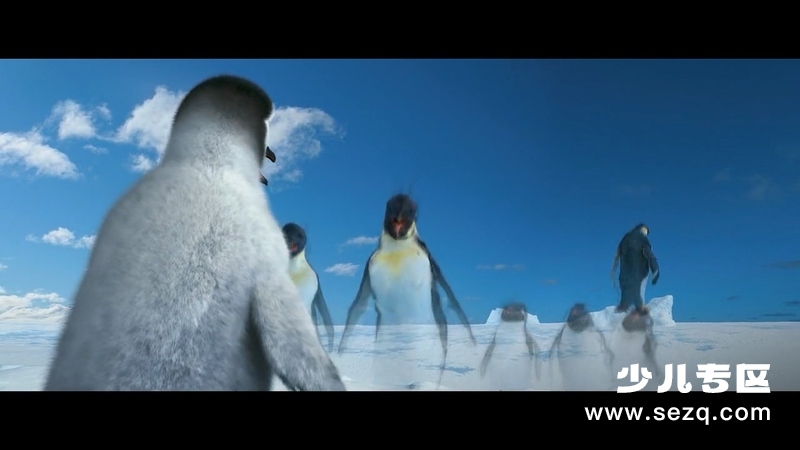 快乐的大脚 - 电影资源画廊第3张