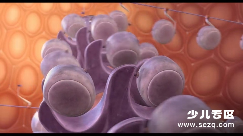 蜜蜂总动员 - 电影资源画廊第5张