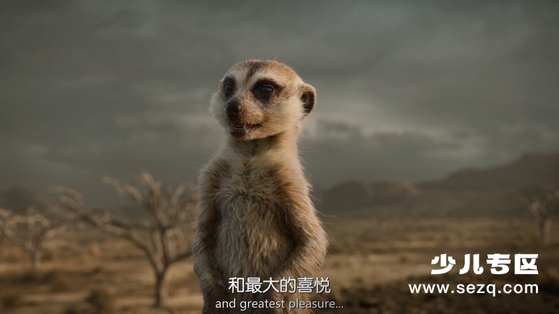 狮子王 - 电影资源画廊第3张