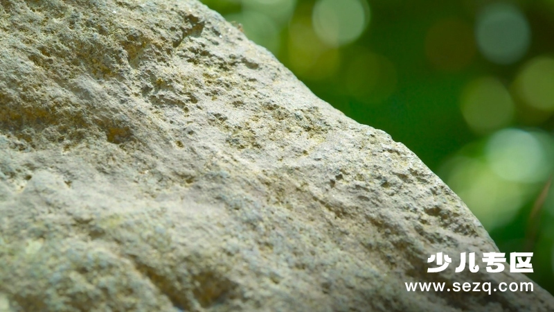 动物的秘密生活 - 动画资源画廊第4张