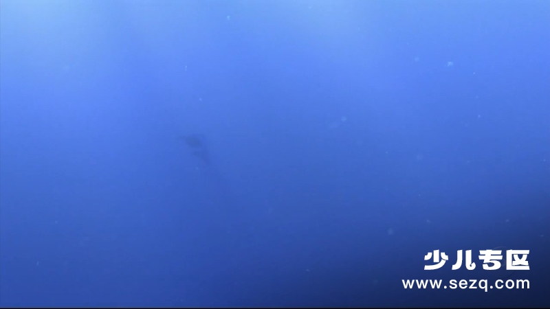 海底总动员 - 电影资源画廊第3张