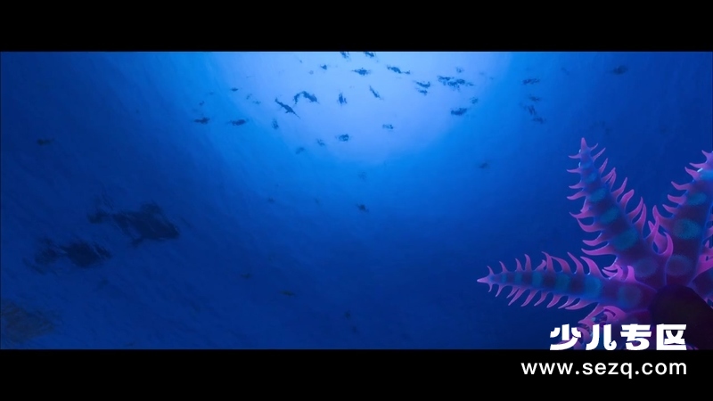 海洋奇缘 - 电影资源画廊第7张