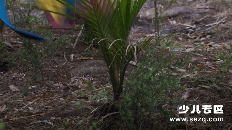 超凡战队：宇宙之怒 - 动画资源画廊第5张