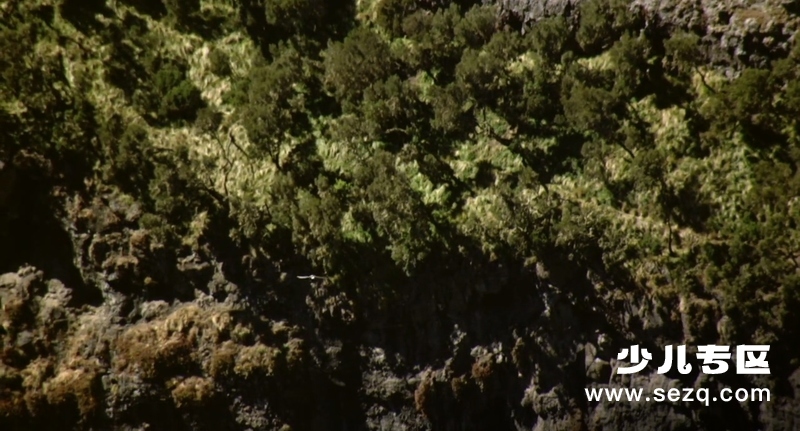 地球生灵 - 电影资源画廊第2张