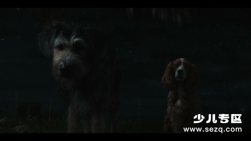 小姐与流浪汉 - 电影资源画廊第7张