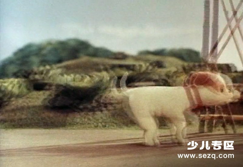 喵呜是谁叫的 - 电影资源画廊第9张