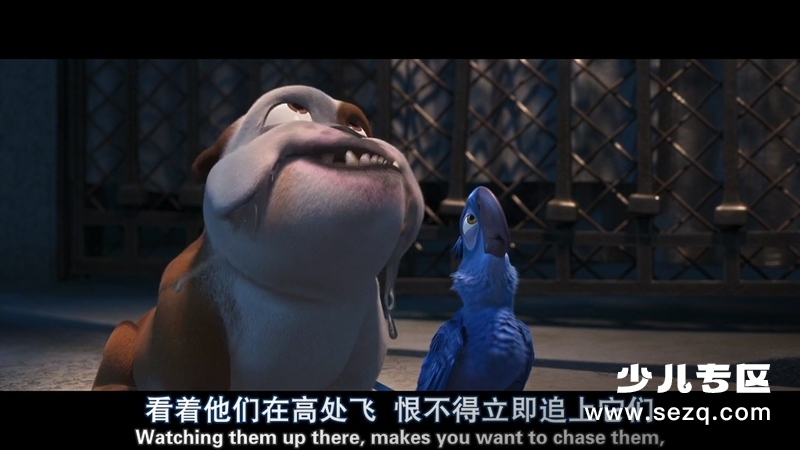 里约大冒险 - 电影资源画廊第6张