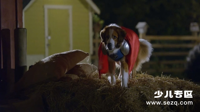 超级巴迪 - 电影资源画廊第5张