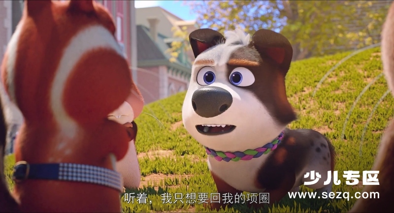 萌宠流浪记 - 电影资源画廊第7张