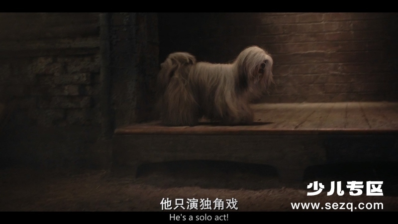 小姐与流浪汉 - 电影资源画廊第6张