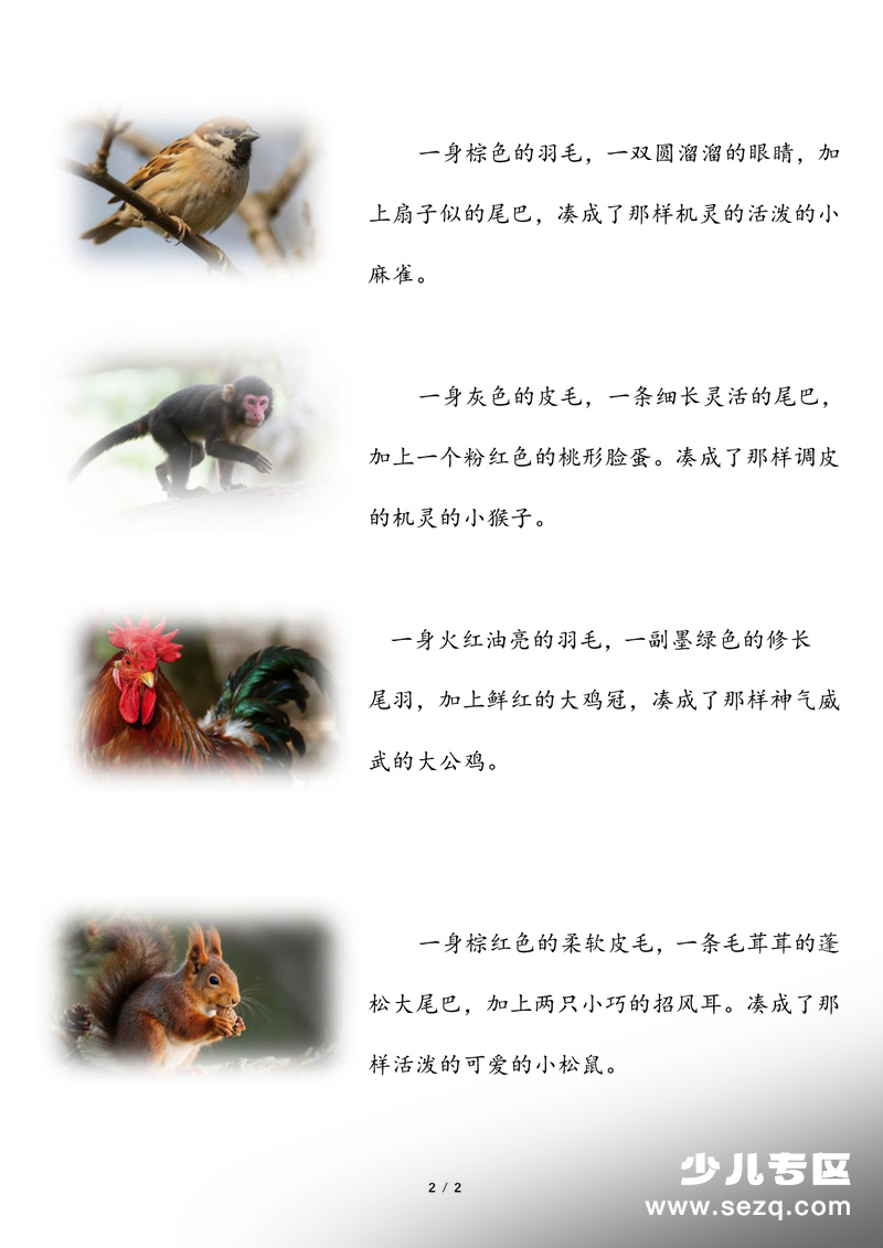 三年级下册语文第一单元仿写范文（含《燕子》《荷花》《昆虫备忘录》） - 文档资源第2张