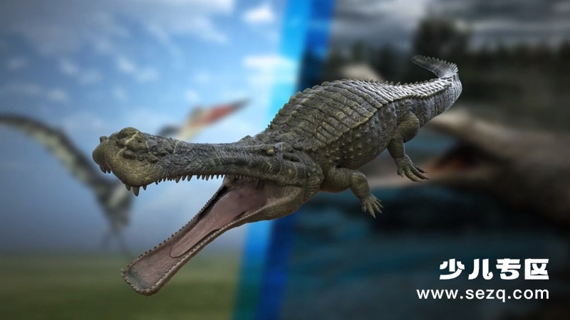 动物大对决 - 动画资源画廊第2张