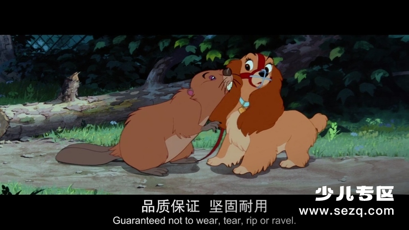 小姐与流浪汉 - 电影资源画廊第8张