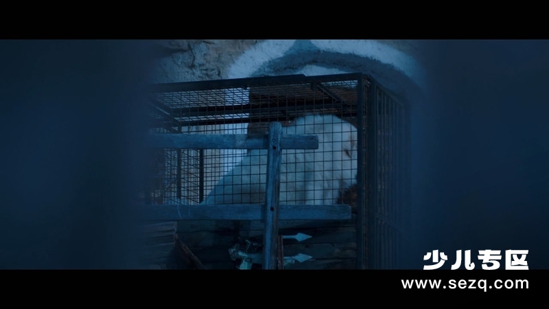 灵犬雪莉3 - 电影资源画廊第5张