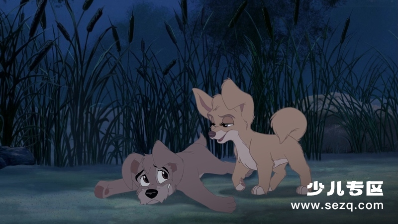 小姐与流浪汉2:狗儿逃家记 - 电影资源画廊第8张