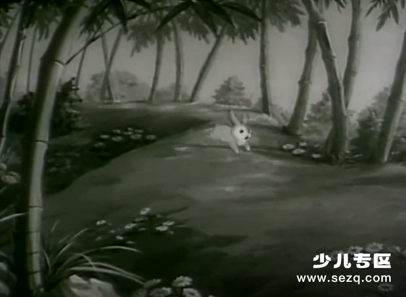 夸口的青蛙 - 电影资源画廊第8张