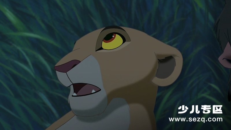 狮子王2：辛巴的荣耀 - 电影资源画廊第9张