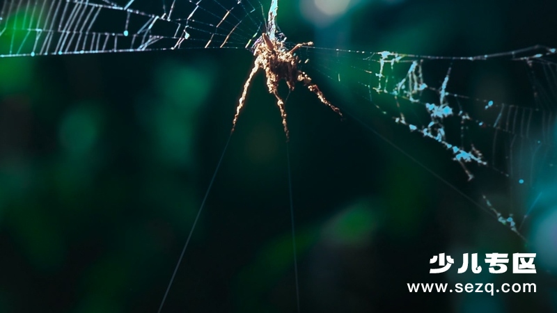 动物的秘密生活 - 动画资源画廊第1张