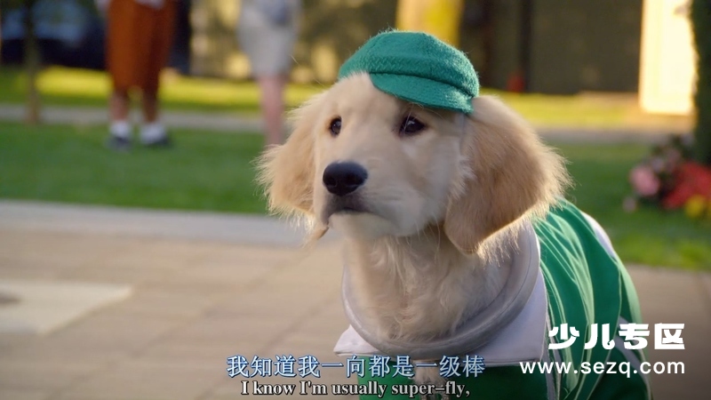 超级巴迪 - 电影资源画廊第2张