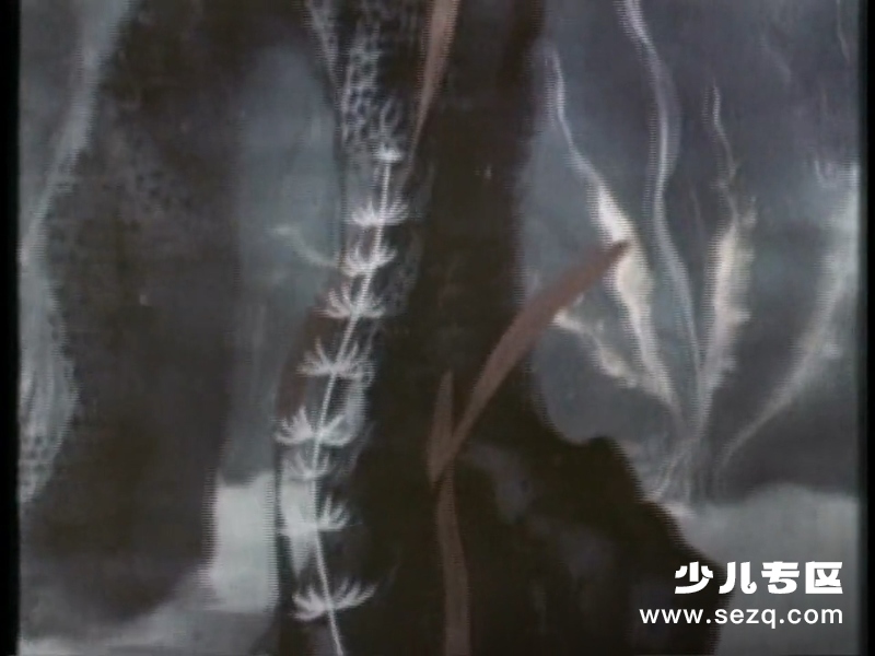 美丽的小金鱼 - 电影资源画廊第8张