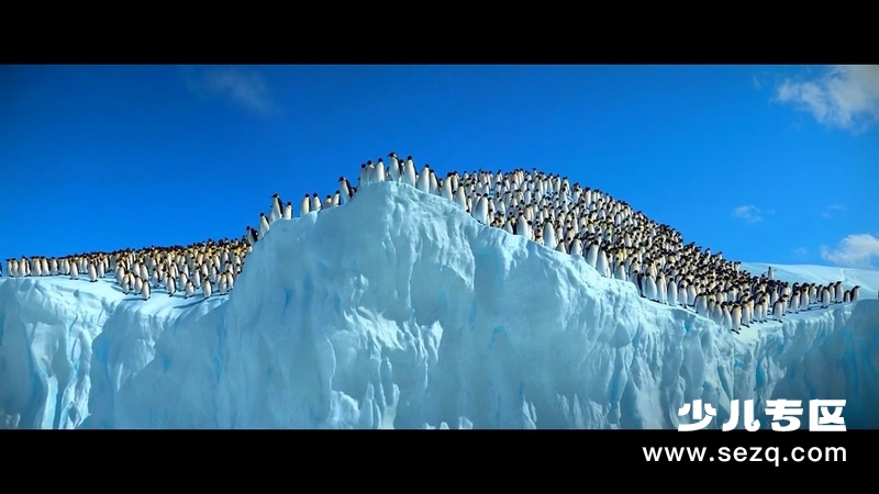 快乐的大脚 - 电影资源画廊第4张