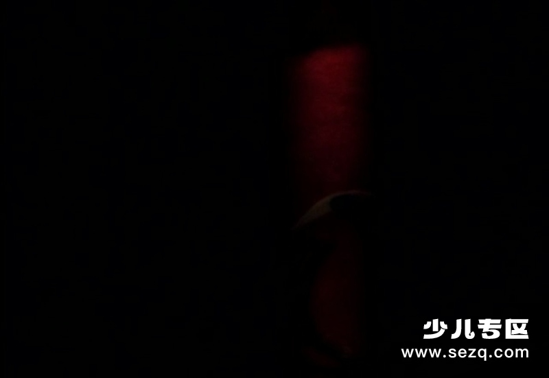 小鹅与红房子 - 电影资源画廊第2张