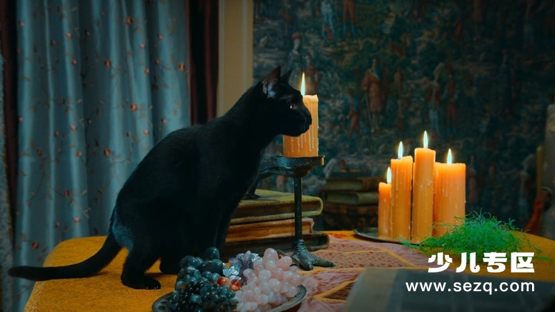 胆小猫 - 动画资源画廊第2张