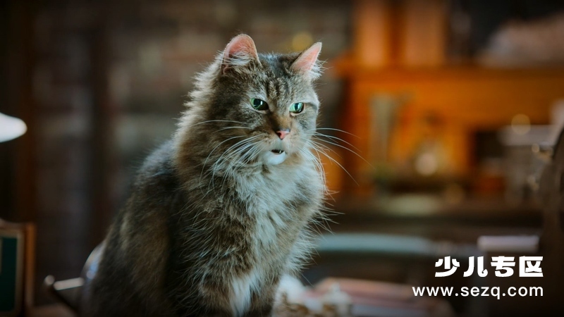 胆小猫 - 动画资源画廊第8张