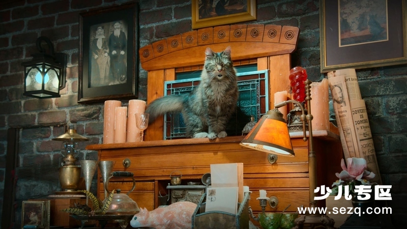 胆小猫 - 动画资源画廊第9张