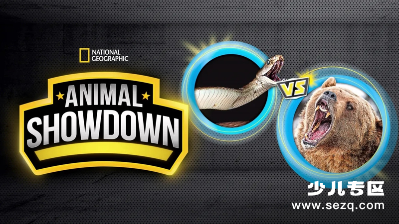 动物大对决 - 动画资源画廊第1张
