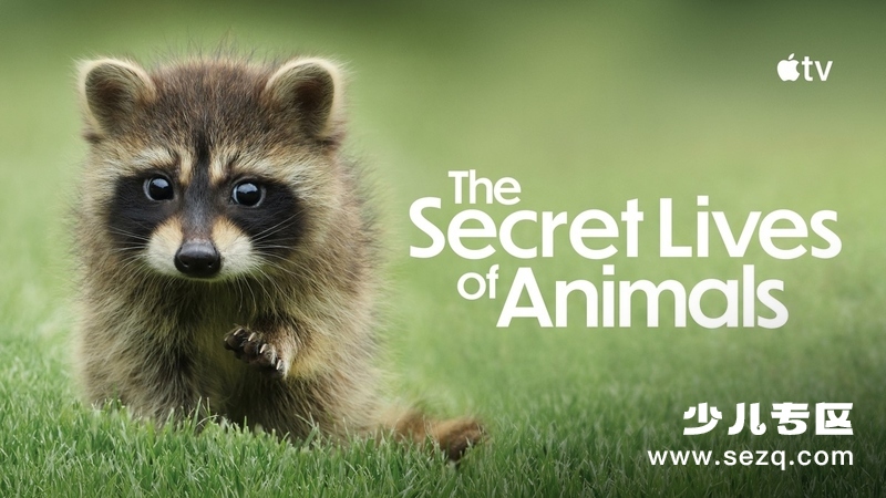 动物的秘密生活 - 动画资源画廊第1张