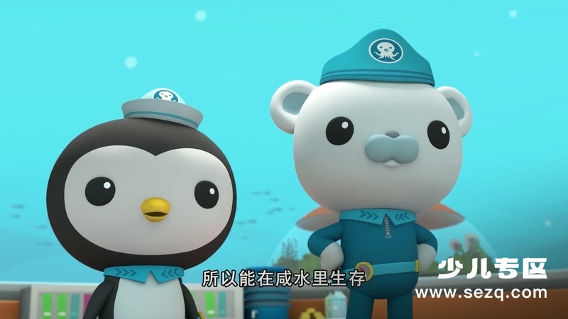 海底小纵队 - 动画资源画廊第6张