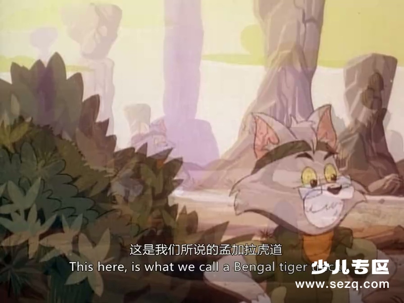 Q版猫和老鼠 - 动画资源画廊第4张