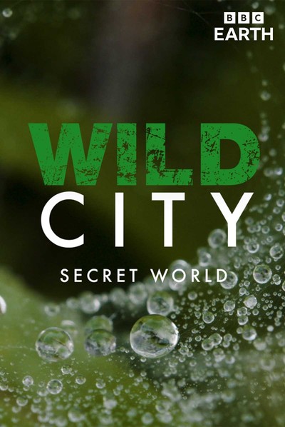 海外动画电影《野生城市：秘密世界 Wild City: Secret World》英语多国字幕 MKV下载 - 少儿专区