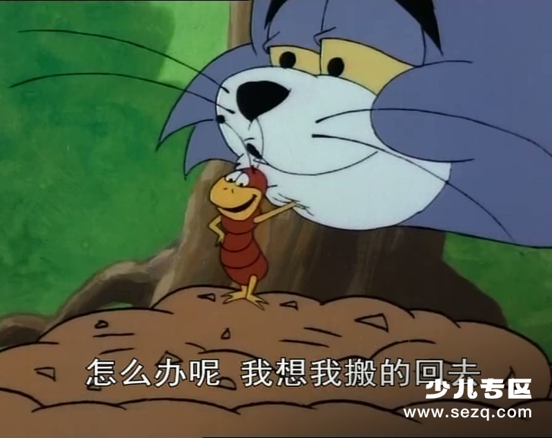 猫和老鼠 - 动画资源画廊第3张