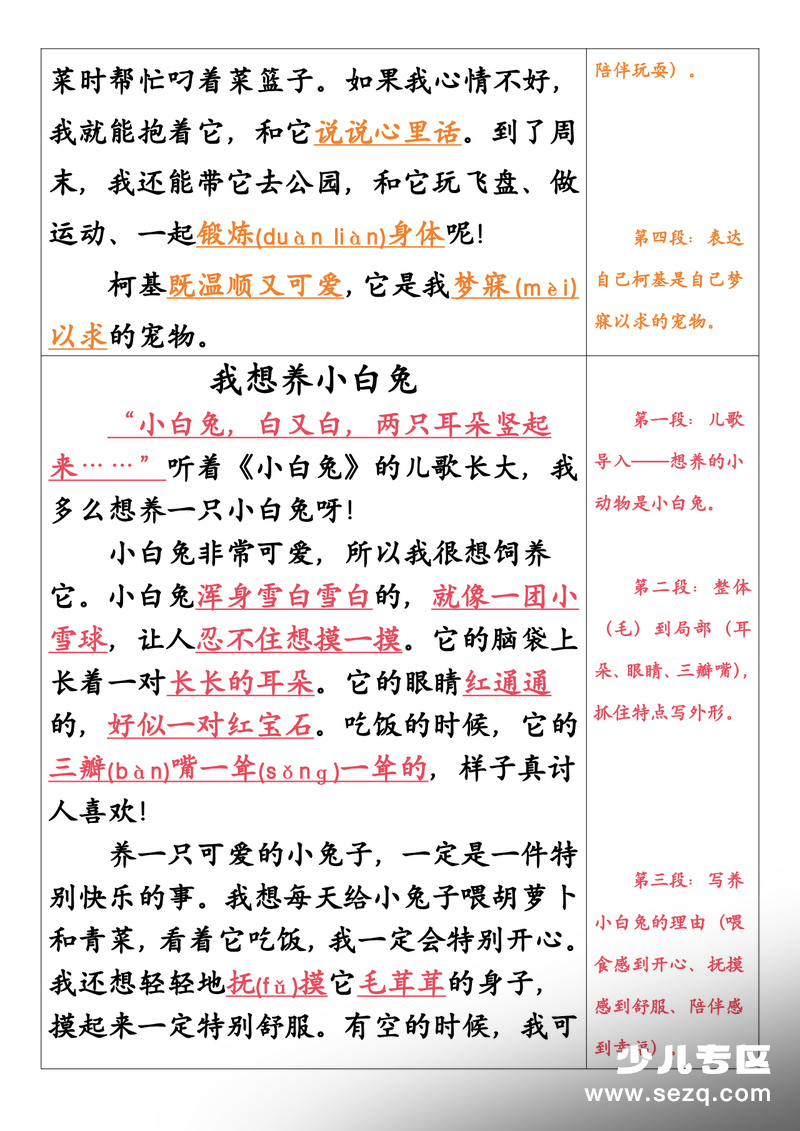 二年级下册语文园地七写话《我想养小动物》范文 - 文档资源第3张